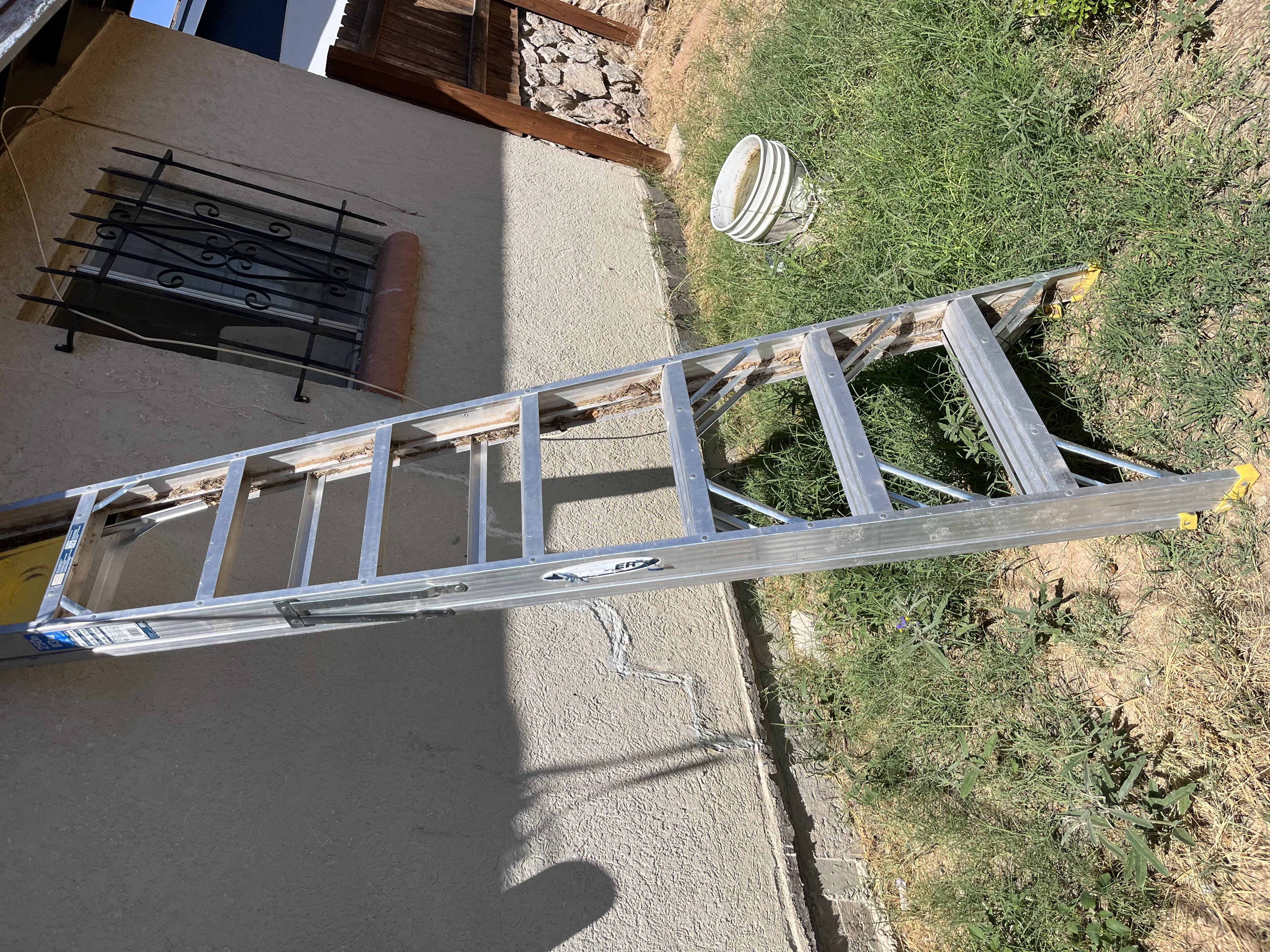 Ladder